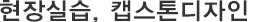 현장실습, 캡스톤디자인